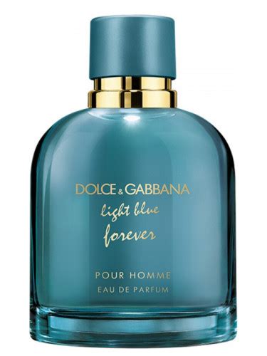 dolce gabbana cologne light blue forever|d&g light blue forever men.